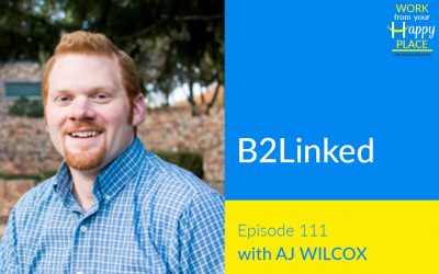 Episode 111 – AJ Wilcox – B2Linked